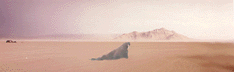 desert1thumb.gif
     (9811 bytes)