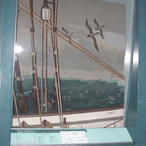 Ship's rail