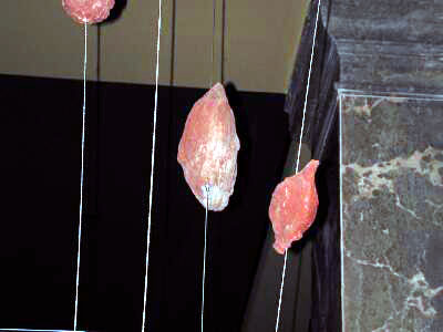 Volcanic bombs